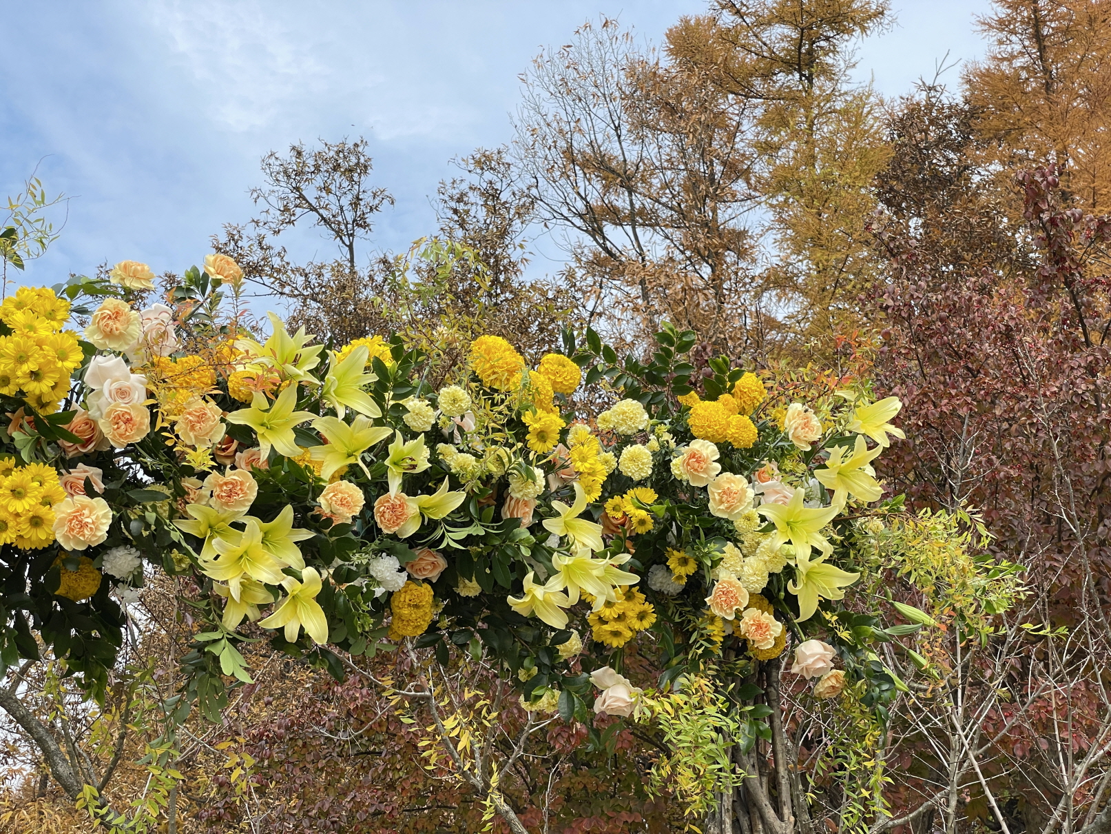 990978475_H18nUhMv_4d7202787ca8088a0ddb78d90cf45bf2785bc929.jpg 이미지크게보기