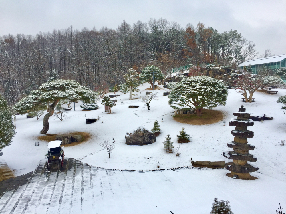 1948697120_yE8OeiCX_f3d64c3afb38c72e076544e85349a29d4c05e71b.jpg 이미지크게보기